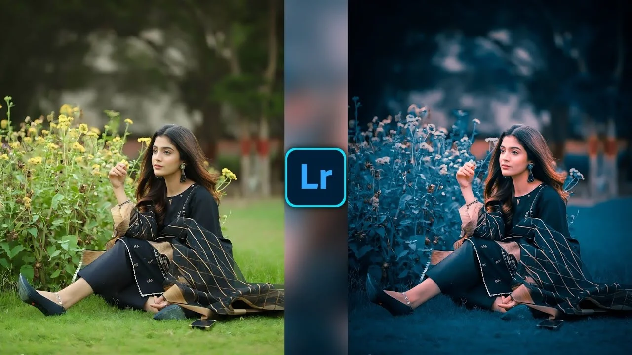 Lightroom Preset 4