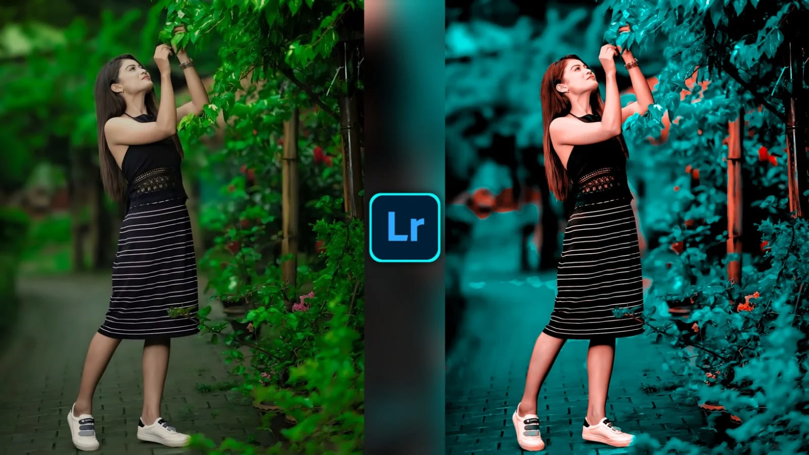 Lightroom Preset Download 17