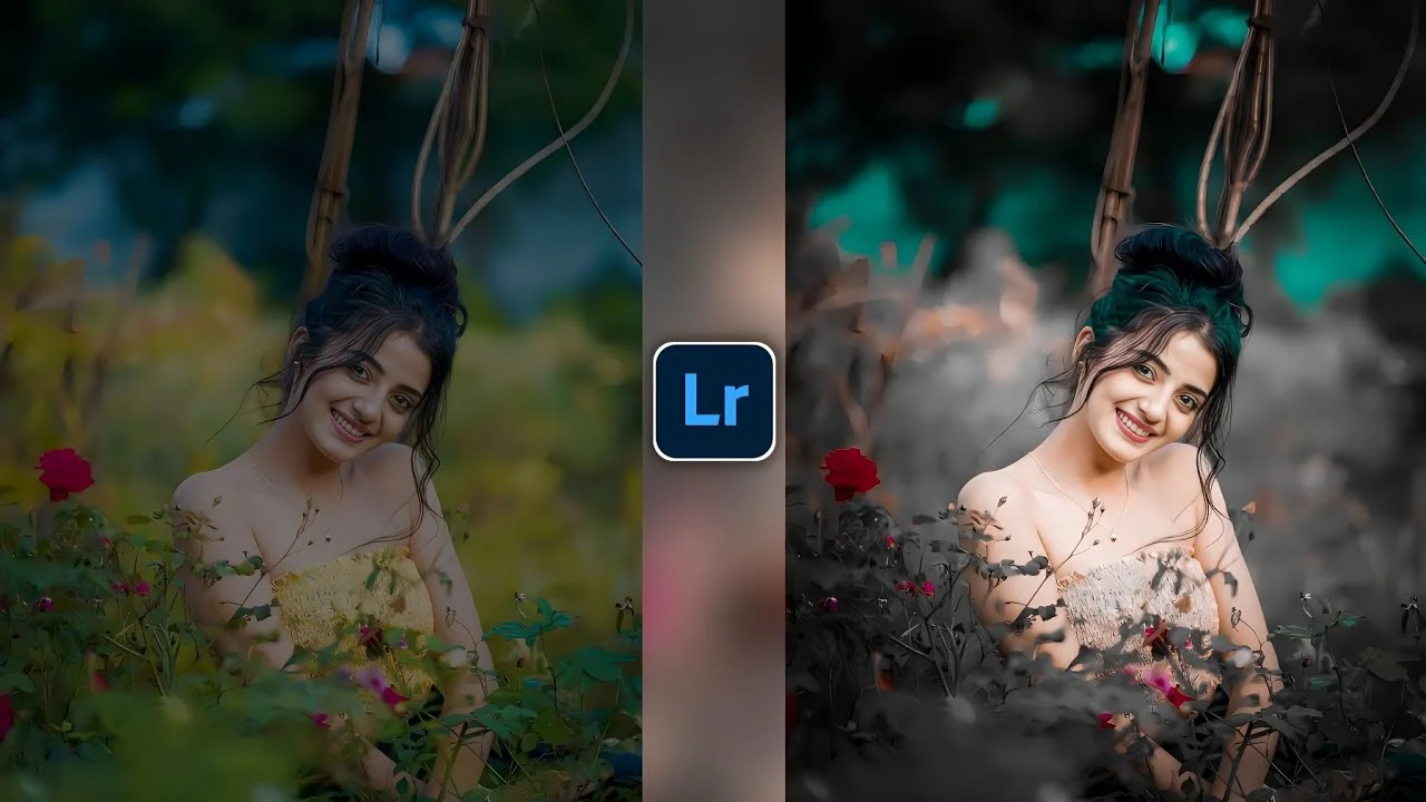 Lightroom Preset Lightroom Preset
