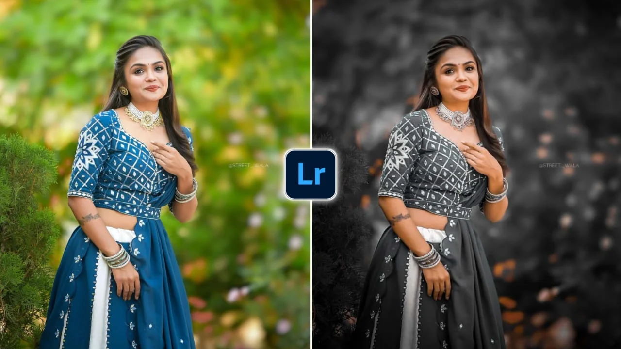 Lightroom Preset 18