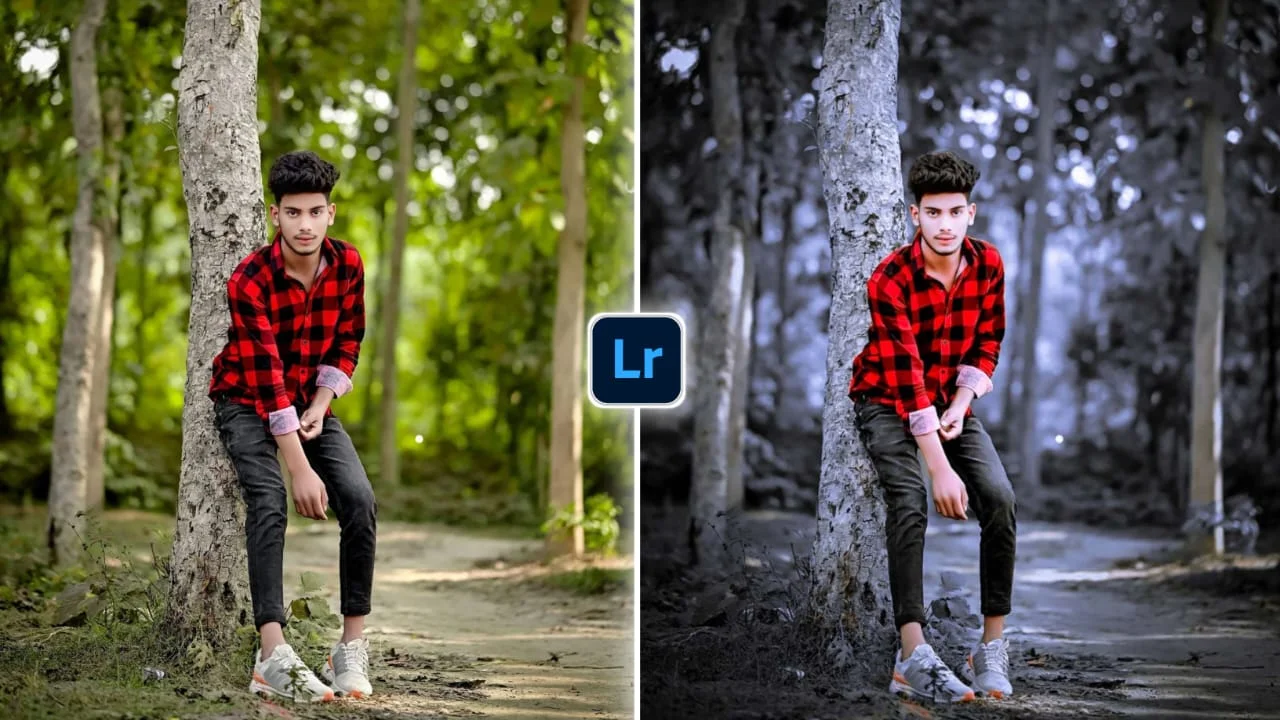 Lightroom Preset 19