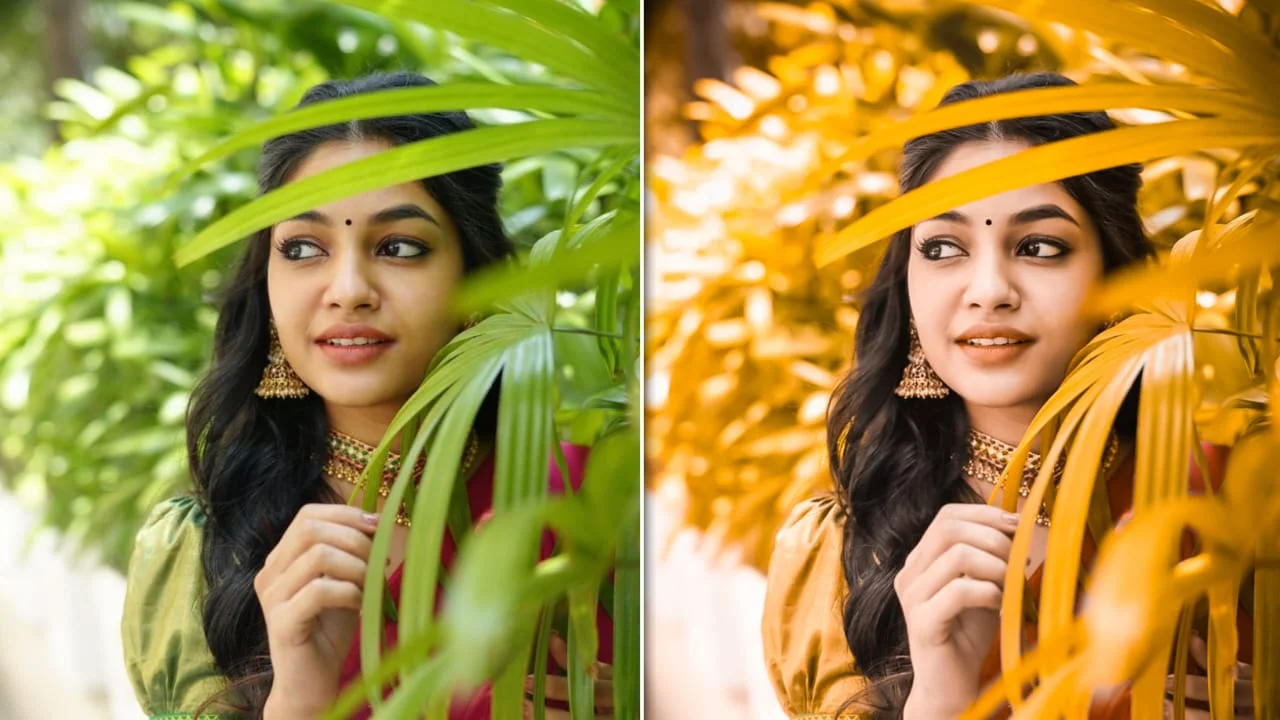 Lightroom Preset 22 Lightroom Preset 22