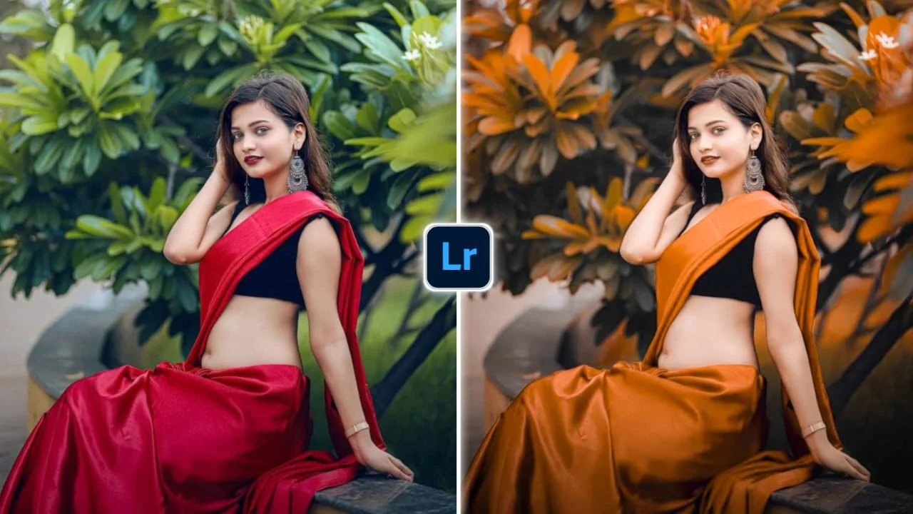 Lightroom Preset 25