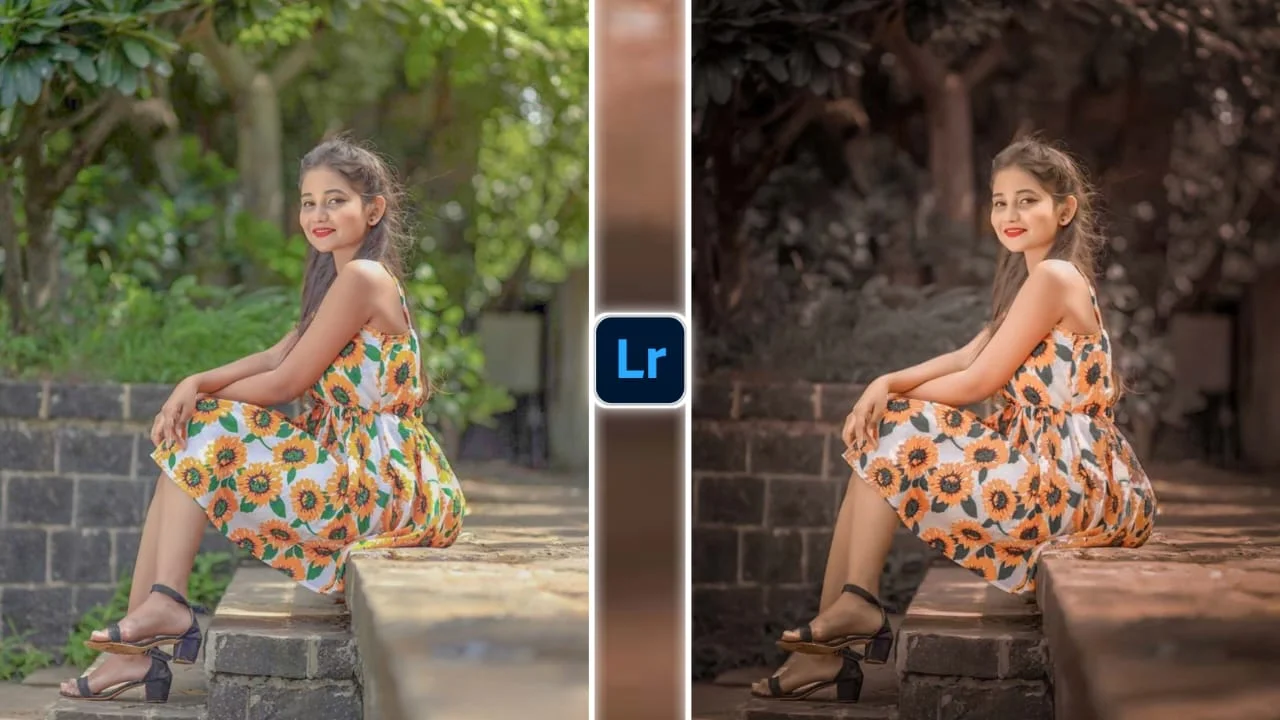Lightroom Preset 26
