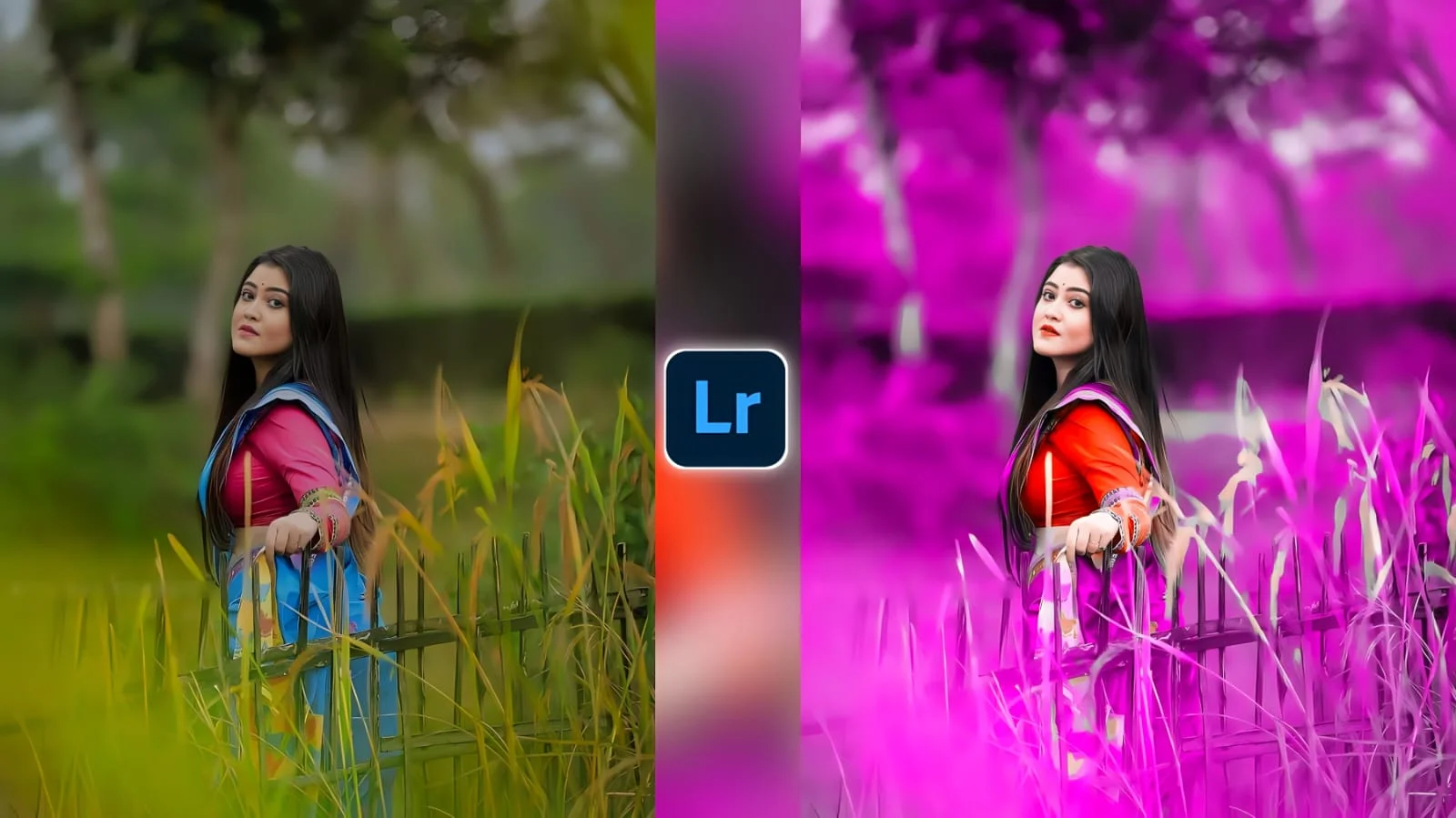Lightroom Preset Download 15 Lightroom Preset Download 15
