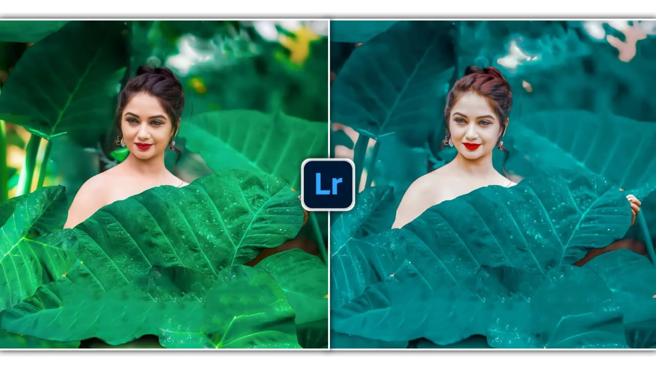 Lightroom Preset 7