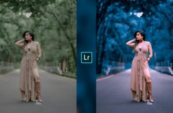 Lightroom Preset Download 20