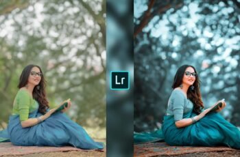 Lightroom Preset Download 35 Lightroom Preset Download 35