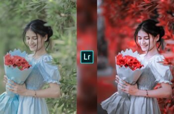 Lightroom Preset Download 47