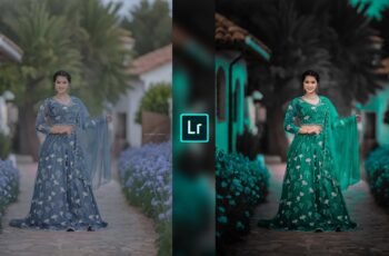 Lightroom Preset Download 49