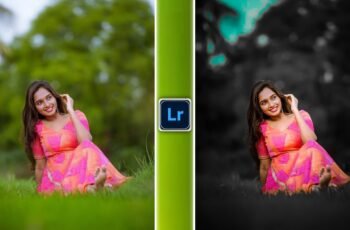 Lightroom PresetMaster Your Photos Instantly with a Lightroom Preset 35