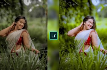 Lightroom Preset Download 52